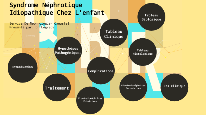 Syndrome Néphrotique Idiopathique Chez L'enfant by Angela Blanc on Prezi