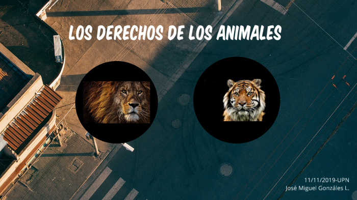 Los Derechos de los Animales by Jose Gonzales on Prezi