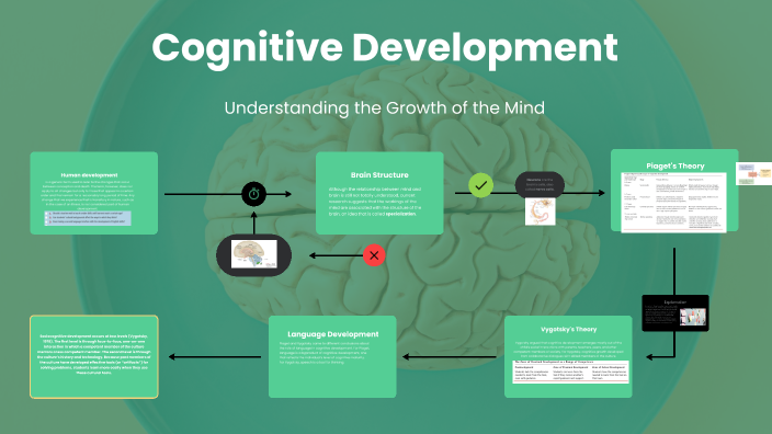Cognitive Development by Georgina Kincaid on Prezi