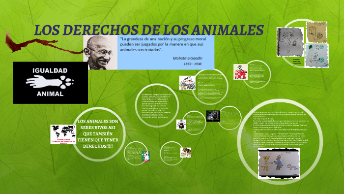 LOS DERECHOS DE LOS ANIMALES by Alejandra Gonzalez Fernandez on Prezi