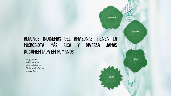 los indigenas del amazonas by Kimberly Mora on Prezi