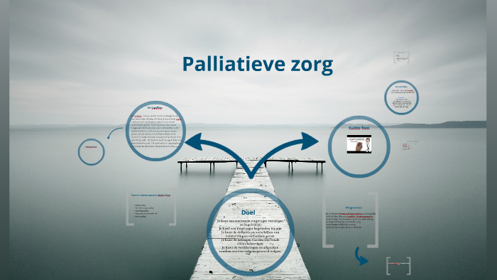 Het verlenen van palliatieve zorg by Valone Adams on Prezi