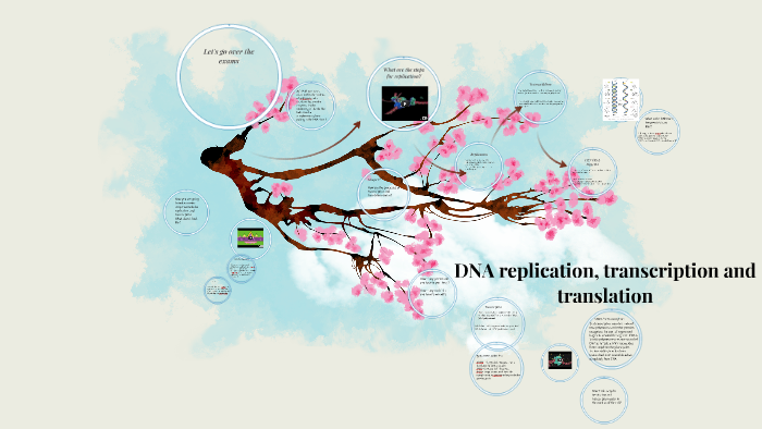 DNA replication, transcription and translation by Roxana Wesson on Prezi