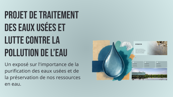 Projet de traitement des eaux usées et lutte contre la pollution de l ...