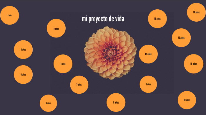 mi proyecto de vida by Diana Ramirez on Prezi