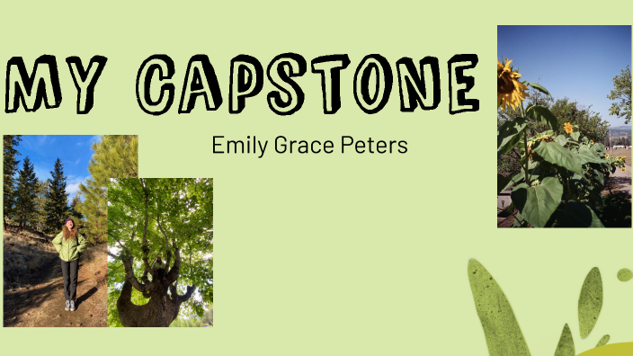 capstone by Emily Peters on Prezi