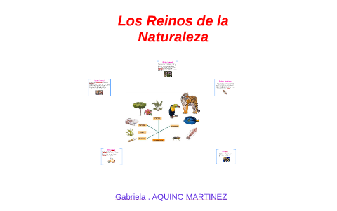 Los Reinos de la Naturaleza by Gabriela Aquino Martinez on Prezi