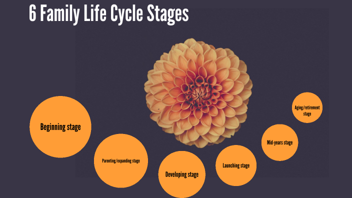 family-life-cycle-by-ashlyn-williamson