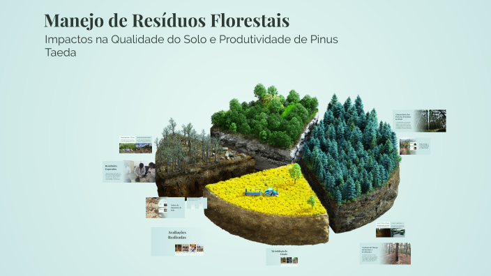 Manejo de Resíduos Florestais by Laura Freitas on Prezi