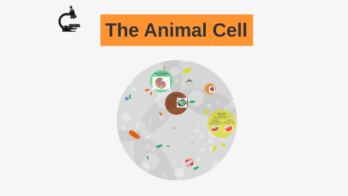 The Animal Cell by Jeimy Lopez on Prezi