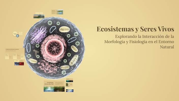 Ecosistemas y Seres Vivos by Lizeth Andrea Beltran Jimenez on Prezi