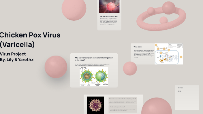 Chicken Pox Virus Project by Lily Rhude on Prezi