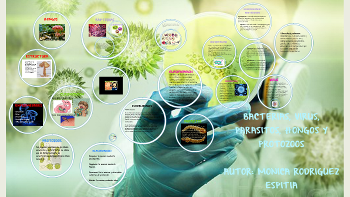 virus bacterias hongos y parásitos ppt virus bacterias hongos y parásitos ppt