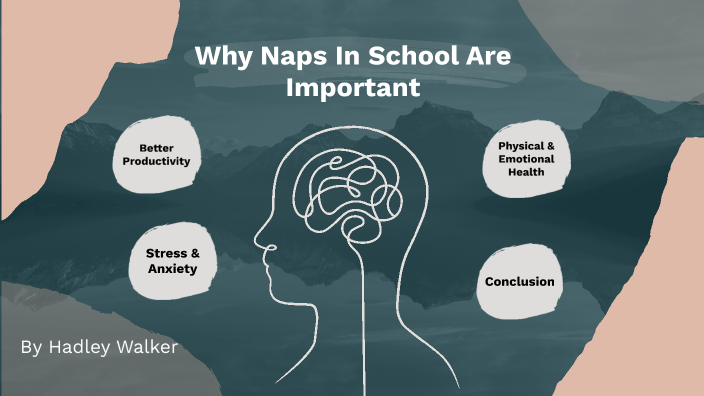 Naps Scool Why Naps In School Are Important by hadley walker on Prezi