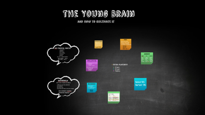 10 Adolescent Brain Facts by Sei Lee on Prezi