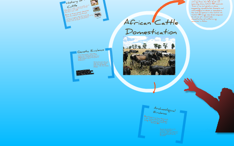 African Cattle Domestication Along the Nile by Dylan Fick on Prezi