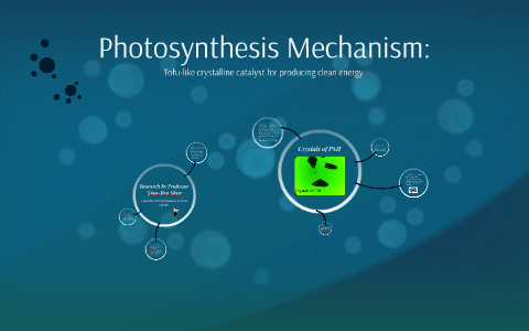 Photosynthesis Mechanism: by Nicole Vega