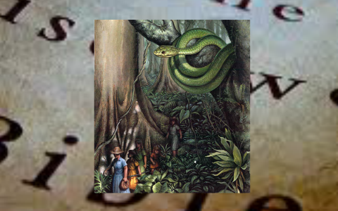 Poisonwood Bible: A deeper look at the female characters by Patricia