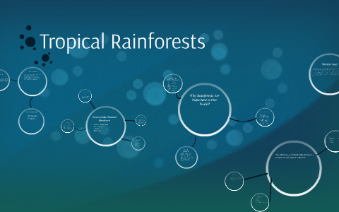 The Amazon Rainforest by Riley Moore on Prezi