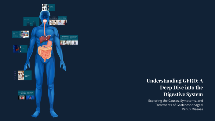 Sebastain Sharp Understanding GERD: A Deep Dive into the Digestive System by Sebastian ...