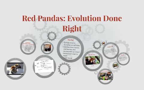 Heydon's case judgment image