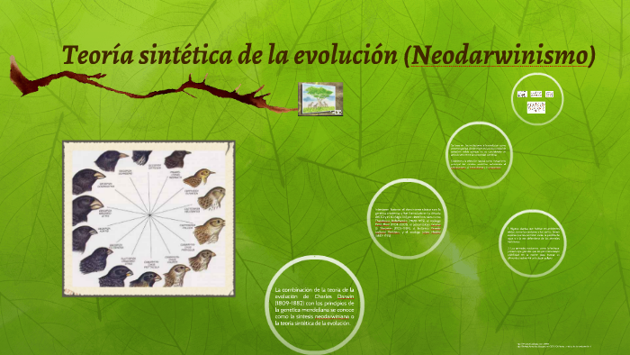 Teoría sintética de la evolución (Neodarwinismo) by Feriie Uriarte on Prezi