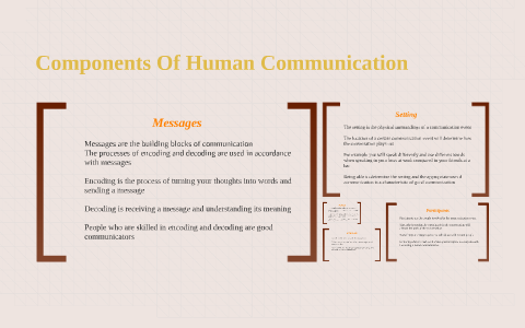 Components Of Human Communication by William Colburn on Prezi