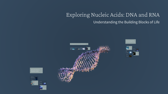 Exploring Nucleic Acids: DNA and RNA by asma aso on Prezi