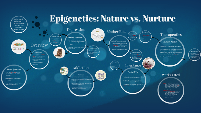epigenetics nature vs nurture essay