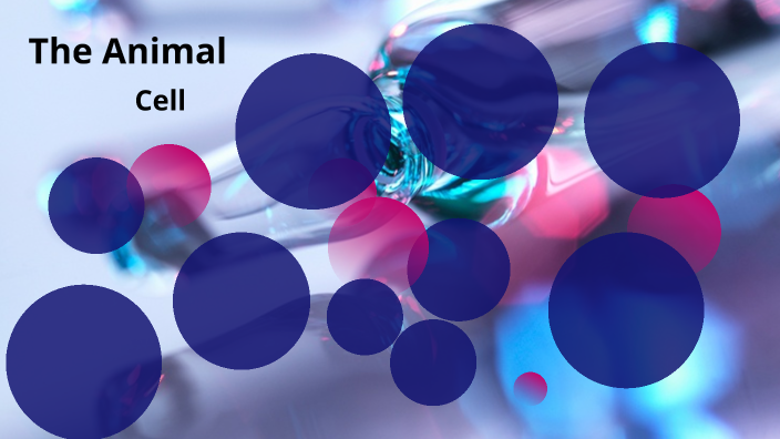 The Animal Cell by Hayden Chevrette on Prezi
