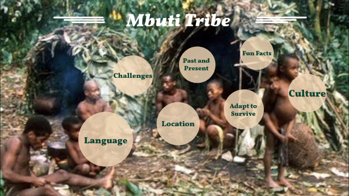 Mbuti culture essay 03 picture