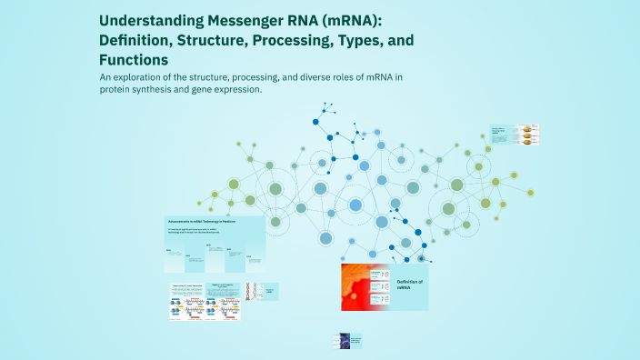 Understanding Messenger RNA (mRNA): Definition, Structure, Processing ...
