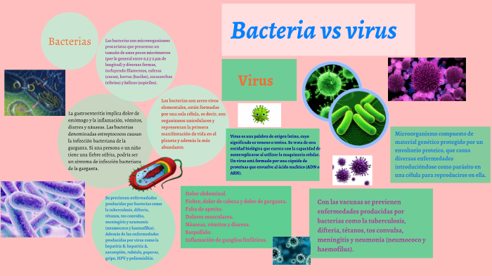 bacterias fiebre bacterias fiebre