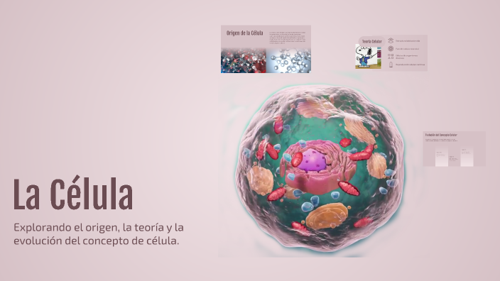 La Célula by LUZ MARITZA MENDEZ MORENO on Prezi
