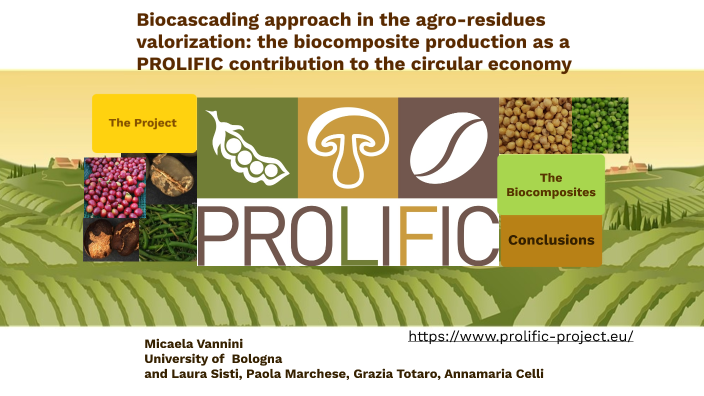 Biocascading approach in the agro-residues valorization: the ...