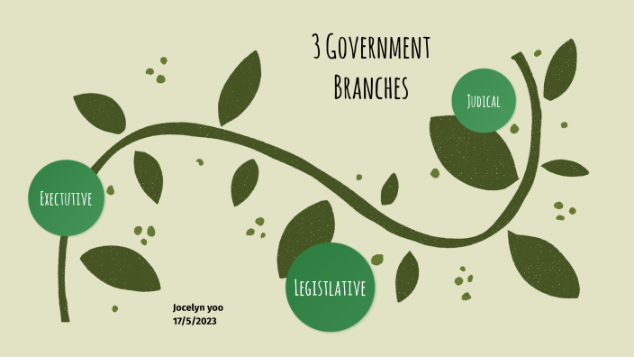 3 branch of government project