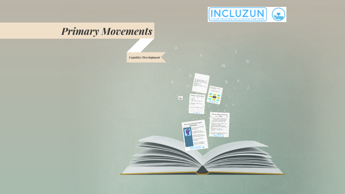 Incluzun Programmes of Support The Primary Movements by Catherine O ...