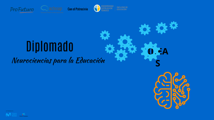 Presentación Diplomado En Neurociencias Para La Educación By Francisco ...