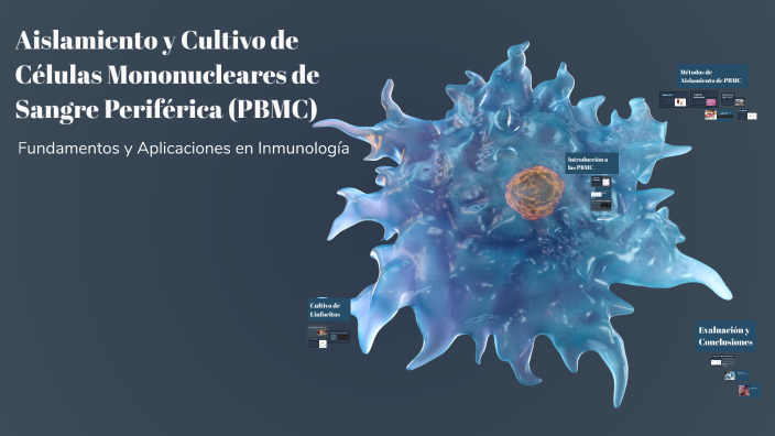 Aislamiento y Cultivo de Células Mononucleares de Sangre Periférica