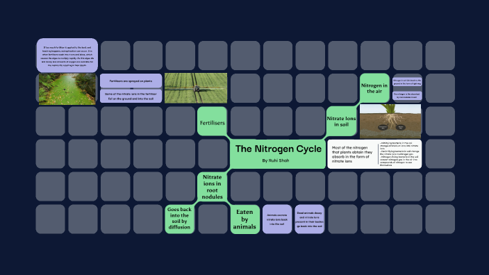Nitrogen Cycle by Ruhi Shah on Prezi