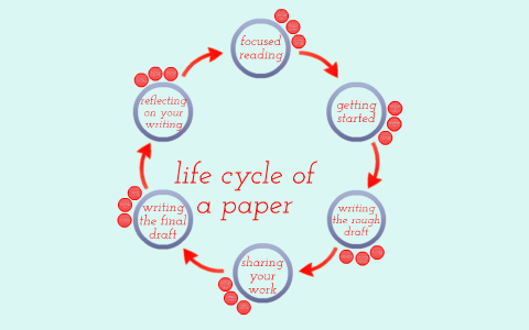 Outline the research cycle image