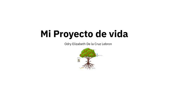Proyecto de vida by Odry Elizabeth De La Cruz on Prezi