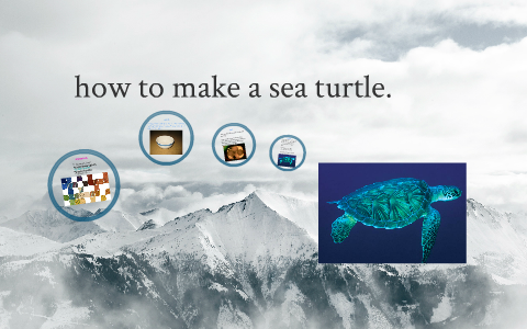 Alessia Sea Turtle by Grade2 Cahill on Prezi