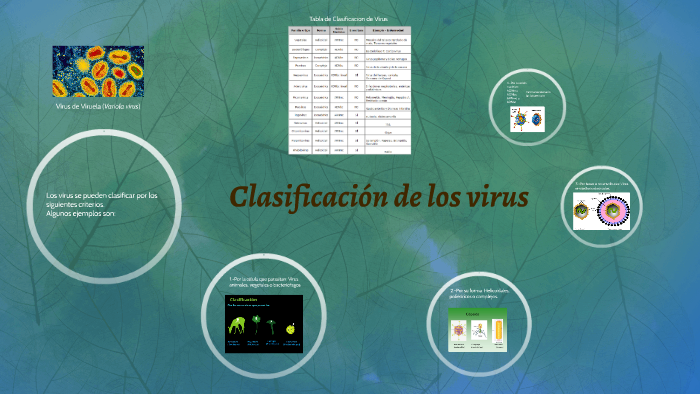 Clasificación de los Virus by Valeria Lopez on Prezi