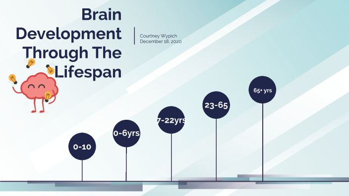 Brain Development Timeline By Courtney Wypich On Prezi