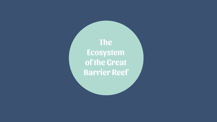 The Great Barrier Reef by Sophia Lee on Prezi