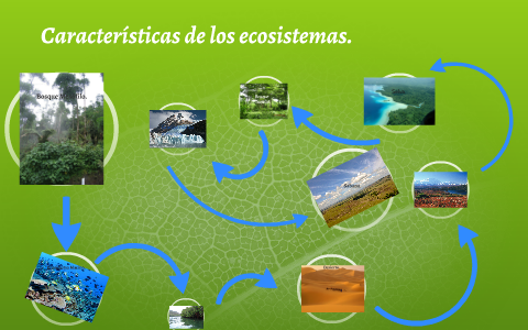 Características de los ecosistemas. by Kevin Palacios Granger