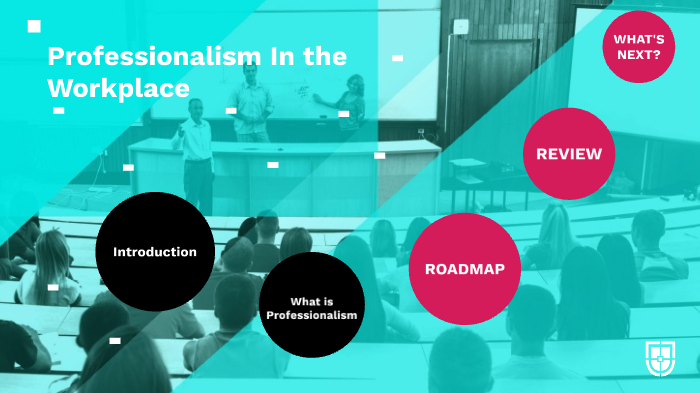 Professionalism in the workplace by Akano Adebayo Matthew on Prezi