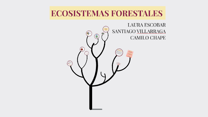 ECOSISTEMAS FORESTALES by