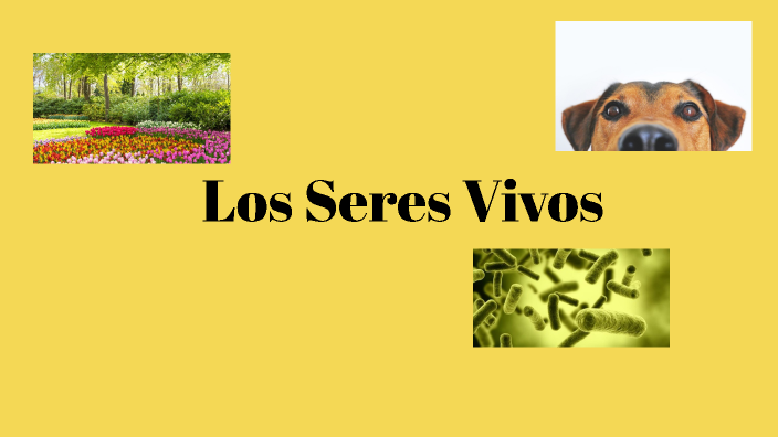 Los Seres Vivos by jhonatan david perez perez on Prezi